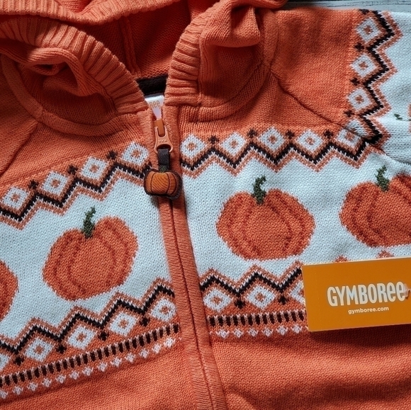 Gymboree Orange Pumpkin Sweater Lil's Pumpkin Collection Hooded Zip Up Sweater - Picture 8 of 14